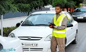 فعالیت هیچ "پارکبانی" مجاز و قانونی نیست