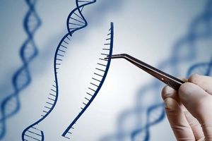 کشف فناوری بلوکه کردن دستکاری ژنتیک