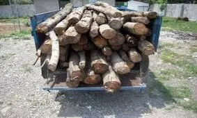 کشف 3 تن چوب قاچاق در دهاقان