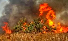 آتش به جان نخلستان‌های جالق افتاد/تلاش‌ها برای مهار آتش ادامه دارد