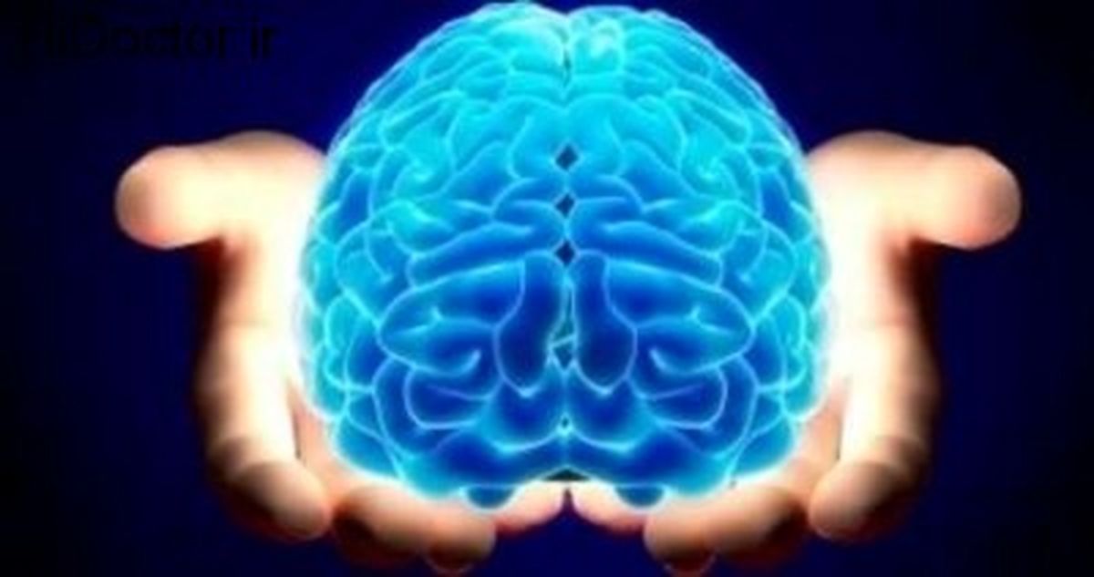 چگونه مغزمان را جوان نگه داریم؟