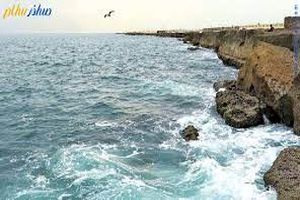 چرا آب خلیج فارس در نزدیکی جزیره قشم سبز شد؟