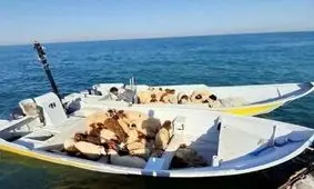 قاچاقچیان برای فرار از جریمه گوسفندهای زنده را به دریا ریختند