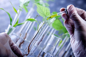 ایجاد پالایشگاه‌های گیاهان دارویی در کشور