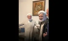 دیدار مهدی کروبی و علی اکبر ناطق‌نوری بعد از ۱۵ سال/ ویدئو