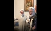 دیدار مهدی کروبی و علی اکبر ناطق‌نوری بعد از ۱۵ سال/ ویدئو