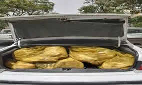 شناسایی و ضبط 240 کیلوگرم گوشت منجمد بدون مجوز