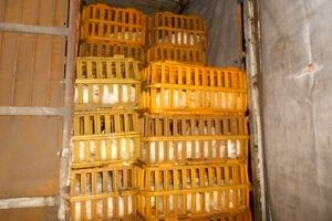 توقیف محموله ۲۸۰۰ قطعه ای مرغ‌ زنده فاقد مجوز حمل در رودسر