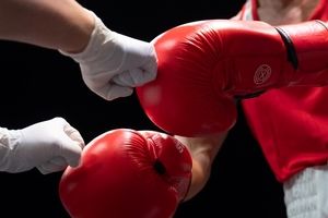 فدراسیون بوکس در مجموعه آزادی زمین‌دار شد

