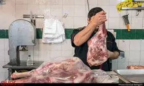 واحدهای صنفی در مشهد سهمی از گوشت تنظیم بازار ندارند