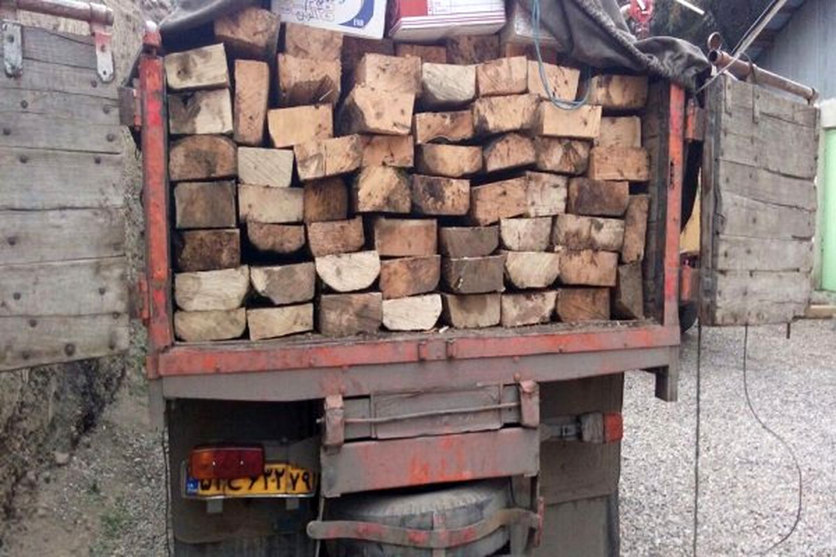 انهدام باند حرفهای قاچاق چوب از منطقه سیستان به استانهای شمالی