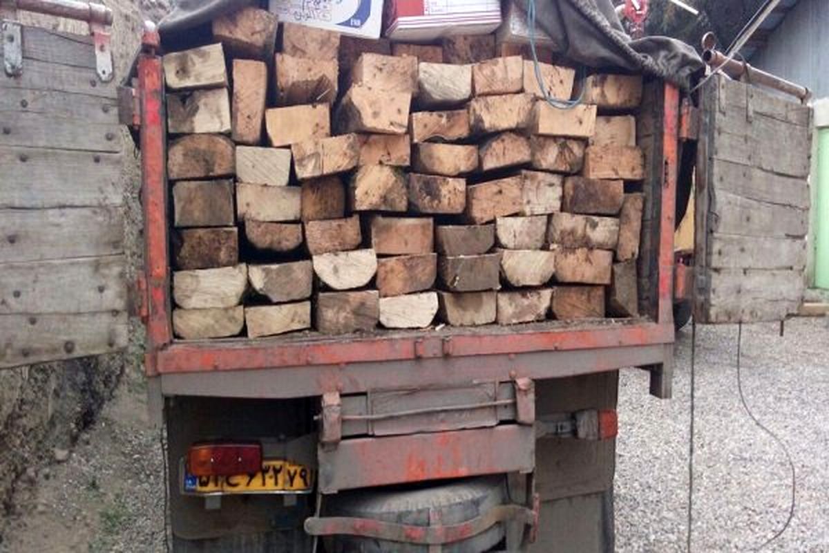 انهدام باند حرفه‌ای قاچاق چوب از منطقه سیستان به استان‌های شمالی