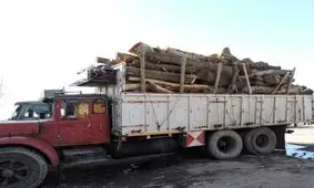 كشف یک محموله چوب قاچاق