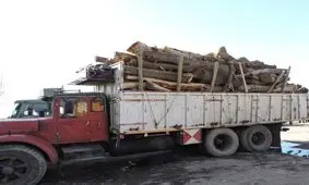 كشف یک محموله چوب قاچاق