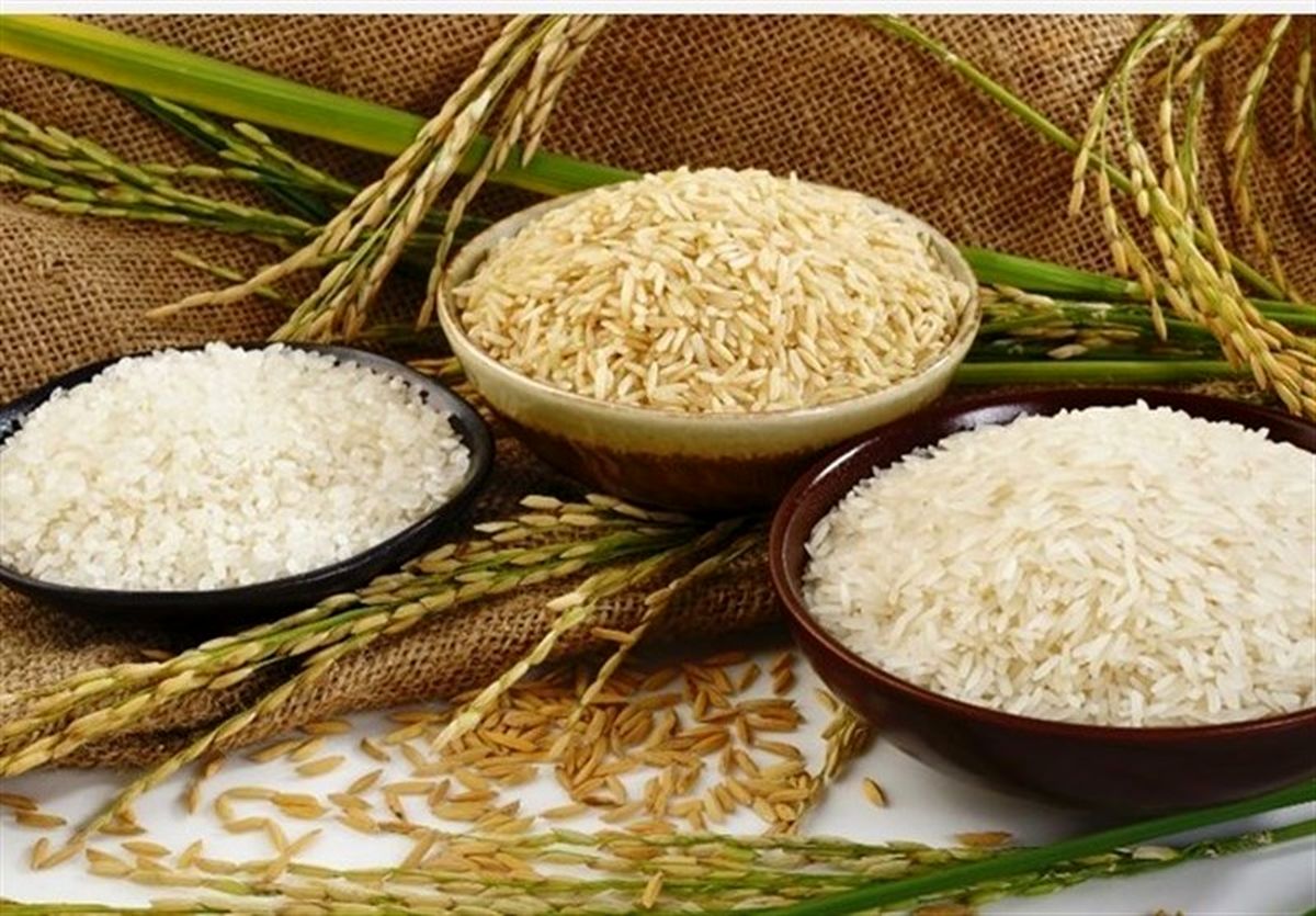 گرانی برنج به دلیل عدم نظارت است