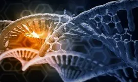 کشف جهش ژنتیکی جدیدی که موجب کاهش ترس و اضطراب می‌شود