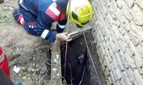 ماجرای ناله های عجیب از درون چاه