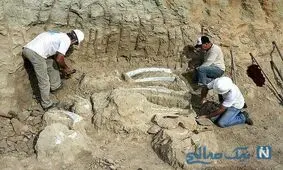 کشف جسد قدیمی ملکه ای با قدمت ۱۵۰۰ سال در جنگل + عکس