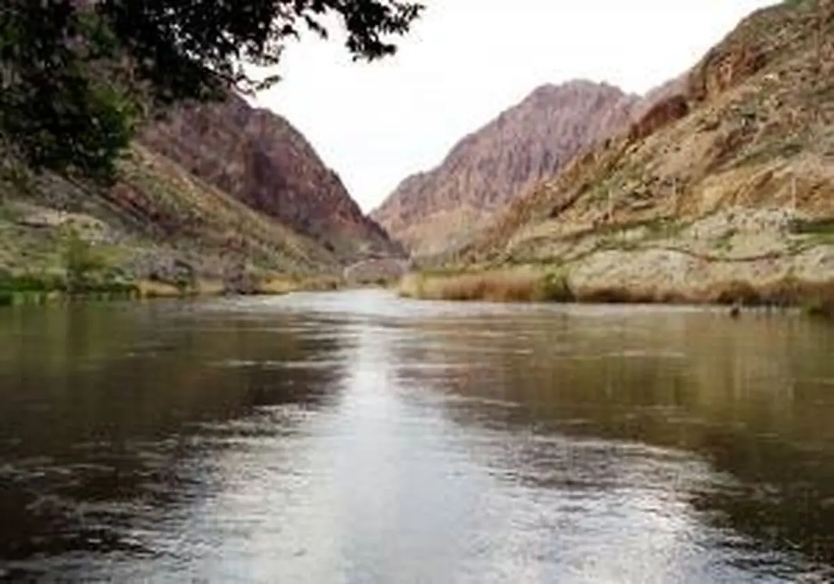 اختلافات خانوادگی باعث آلودگی آب روستا شد