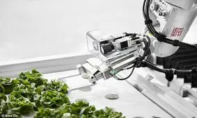 ربات ها سبزیجات می کارند