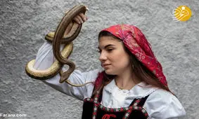 جشن نوازش مارهای سمی!