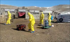 شیوع طاعون در مغولستان