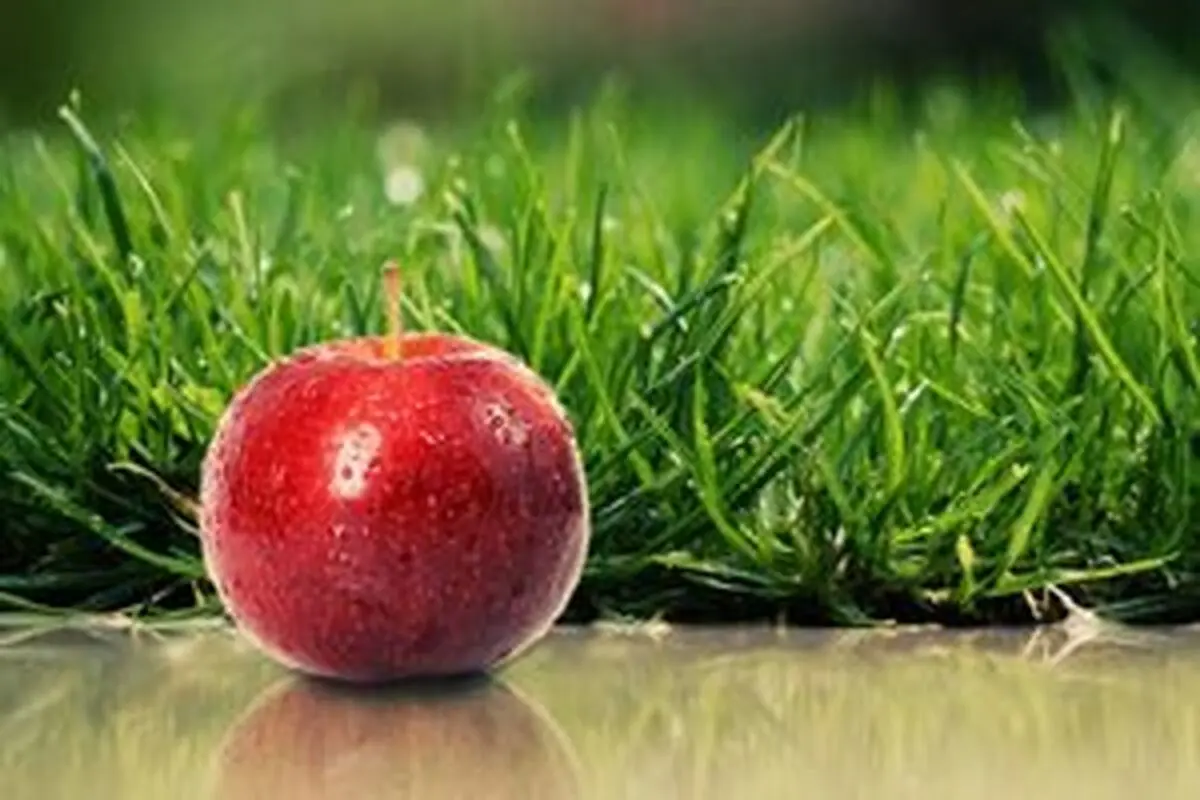 دلایل توصیه پزشکان به مصرف روزانه سیب