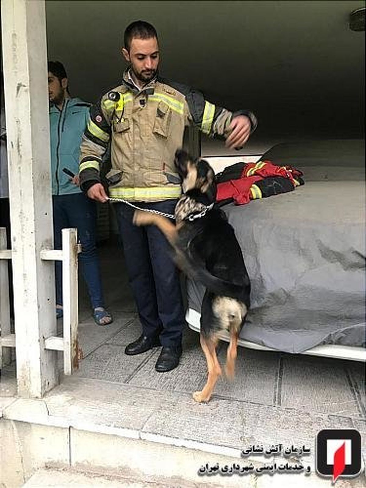 نجات سگ از چاه عمیق در اقدسیه تهران