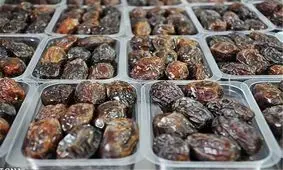 صادرات بی‌رویه قیمت خرما را به ۴۰ هزار تومان رساند