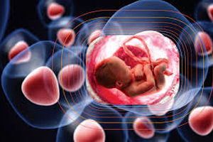 تولید جنین کامل انسان از سلول‌های بنیادی پوست