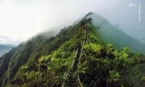 خیره کننده‌ترین راه پله‌های دنیا + تصاویر