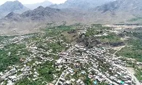 جشن آلاله ها در دامن طبیعت سبز نیاسر + فیلم