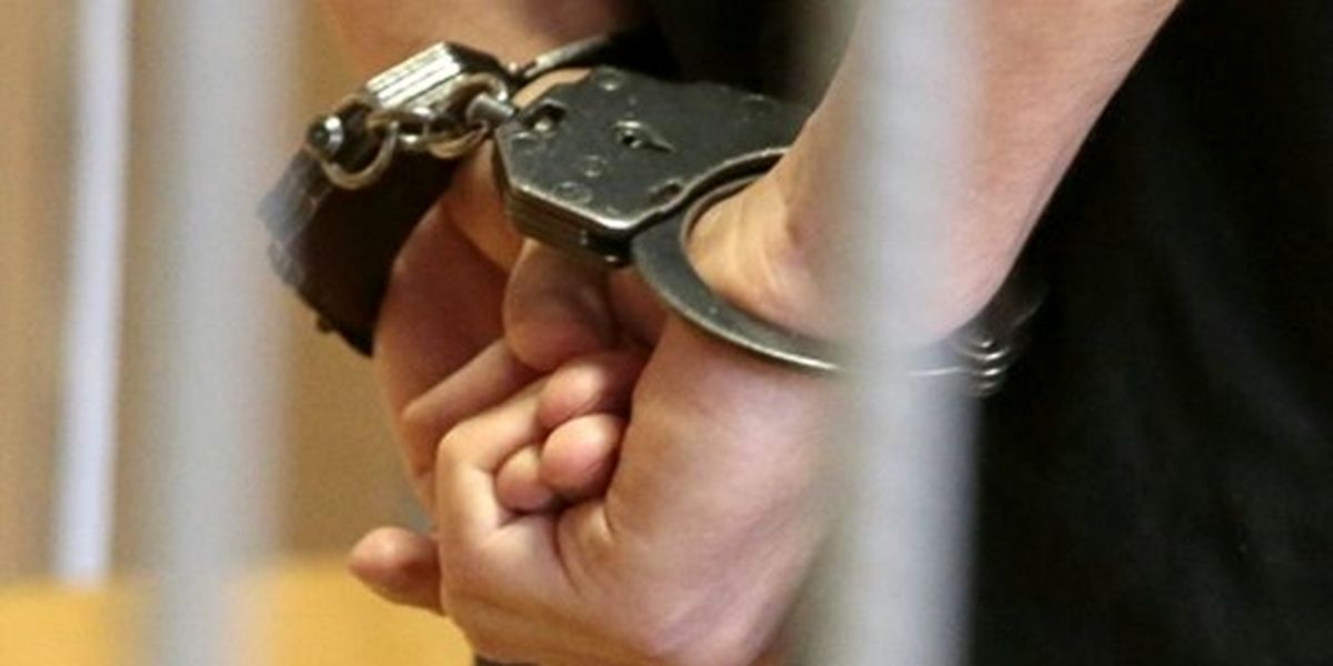 سارقان 370 رأس دام دستگیر شدند
