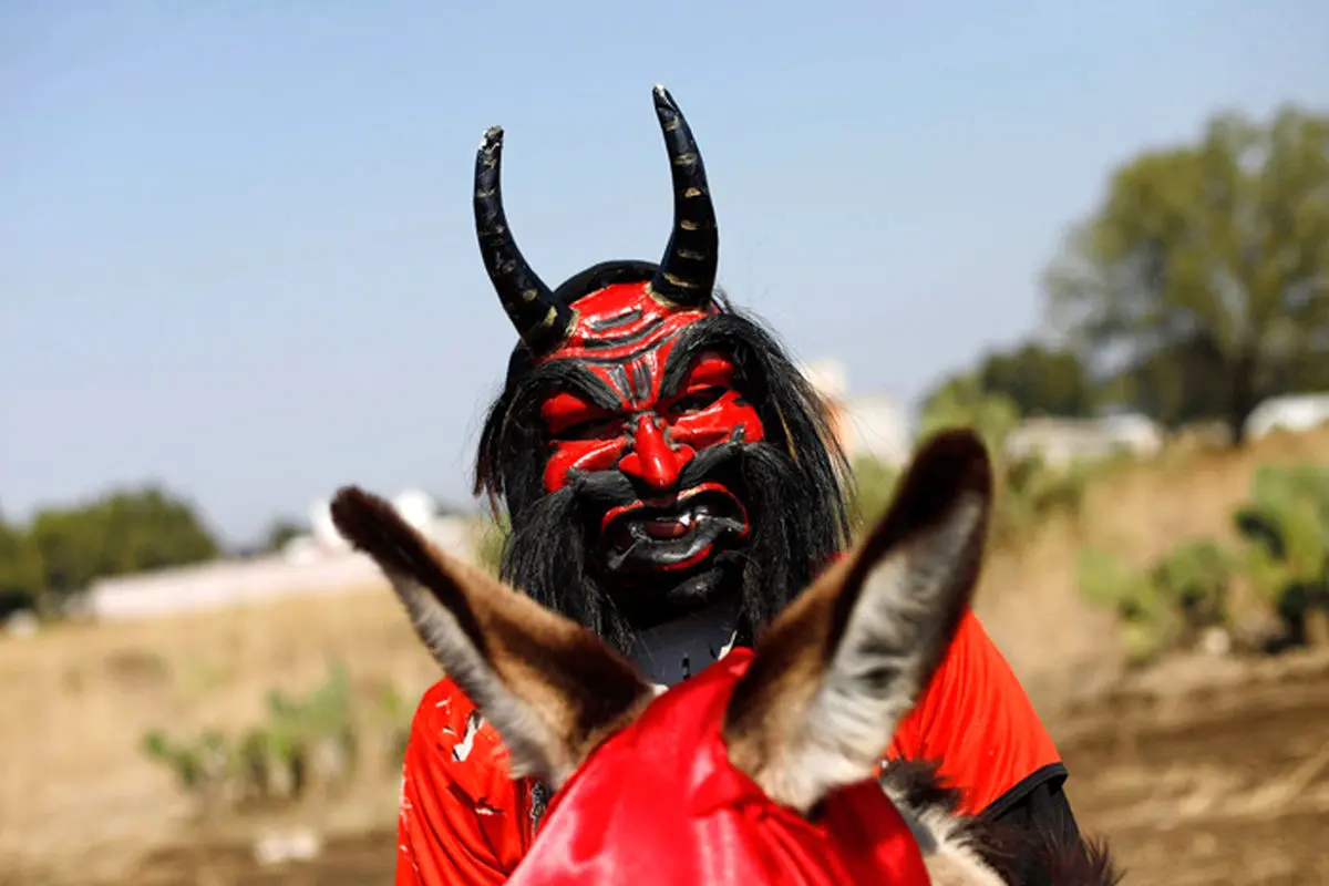 مراسم قدردانی از الاغ در مکزیک!