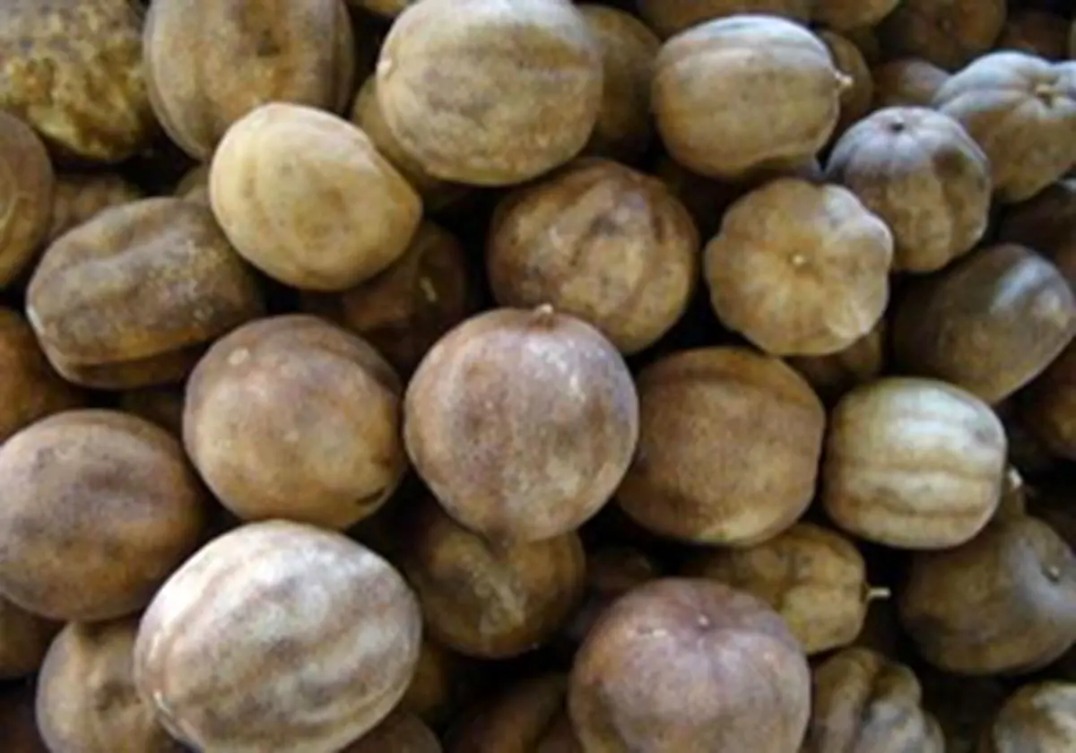 لیمو عمانی‌های میلیاردی به بازار نرسید