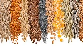 حبوبات غیرشرکتی کیلویی چند؟