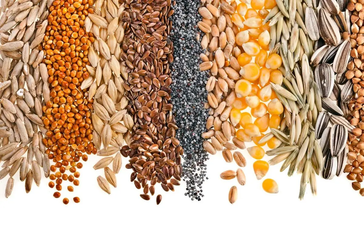 حبوبات غیرشرکتی کیلویی چند؟
