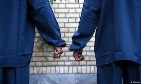 پسر شیرازی دو دوستش را سراغ خواهر جوانش فرستاد