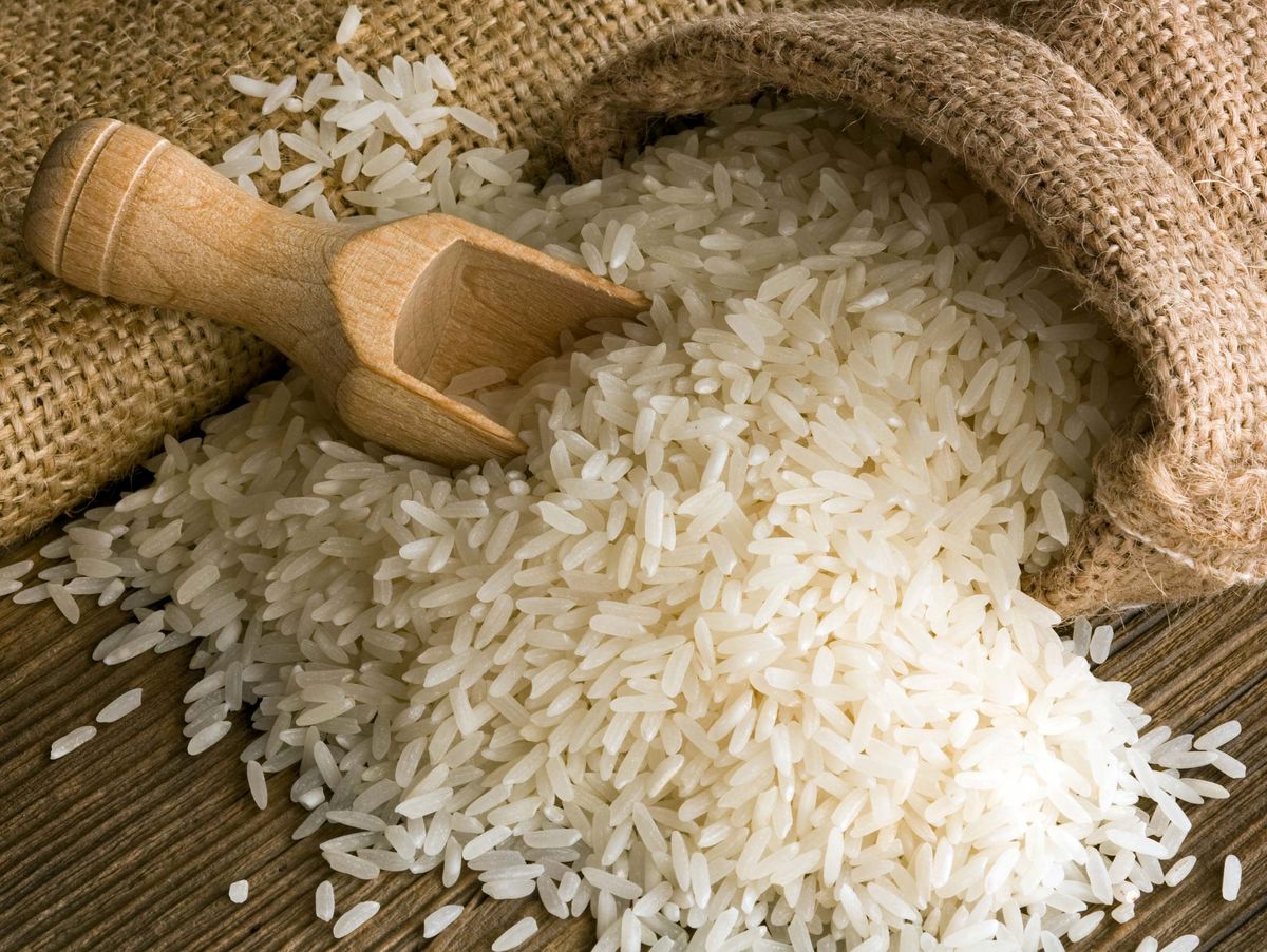 دلیل افزایش قیمت برنج ایرانی توهم برخی سودجویان است/ ادامه واردات برنج با ارز ۴۲۰۰ تومانی