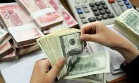 سه میلیارد یورو ارز دولتی در جیب دو خانواده