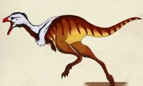 چرا پرندگان منقار دارند و دندان ندارند؟