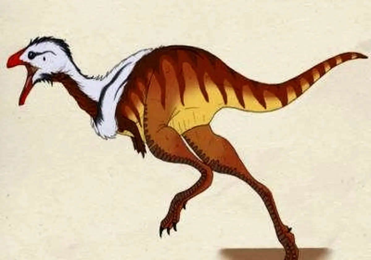 چرا پرندگان منقار دارند و دندان ندارند؟