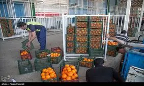 قیمت انواع میوه، تره‌بار و مواد پروتئین ۱۷ اردیبهشت‌ماه در اهواز + جدول