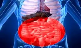 روزه و بیماری های گوارشی و کبدی