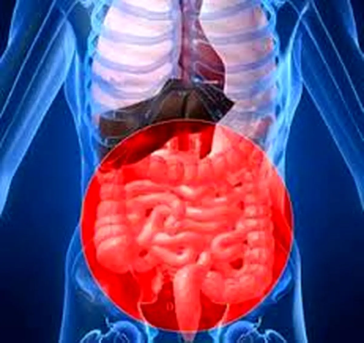 روزه و بیماری های گوارشی و کبدی