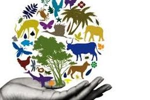 اولین گزارش سازمان ملل در مورد تنوع زیستی منتشر می شود