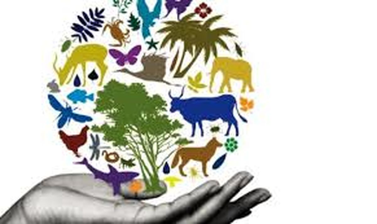 اولین گزارش سازمان ملل در مورد تنوع زیستی منتشر می شود