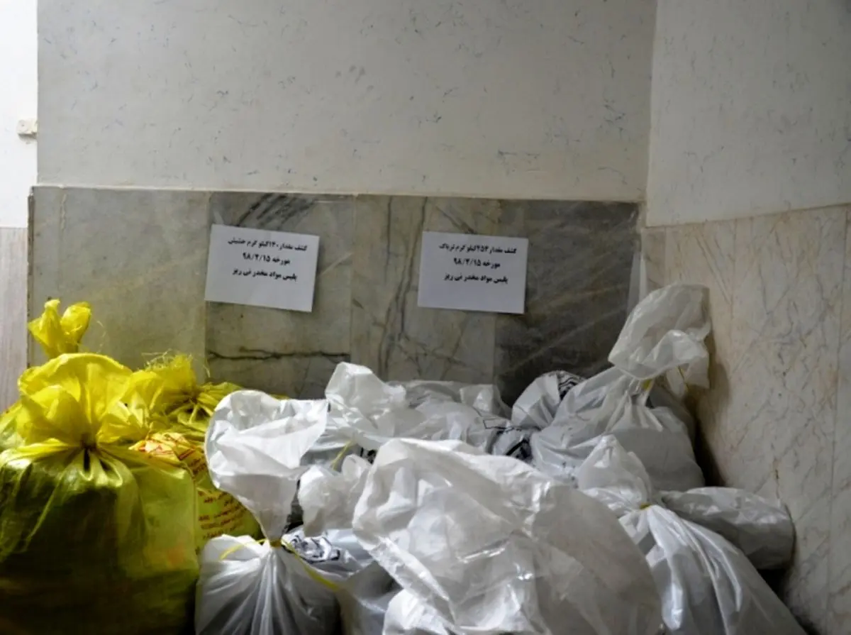 کشف ۳۹۴ کیلوگرم مواد مخدر در نی ریز