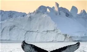 بزرگ‌‌ترین جزیره جهان+تصاویر