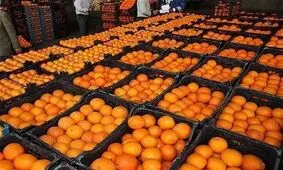 قیمت میوه و صیفی‌جات، حبوبات، لبنیات و مواد پروتئینی‌ در شهرکرد؛ چهارشنبه ۱۸ اردیبهشت‌ماه + جدول